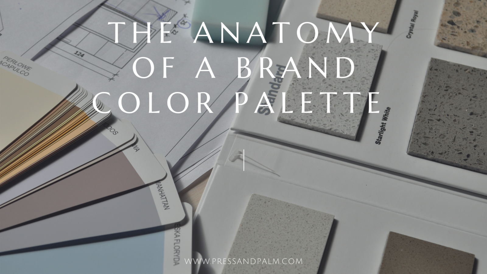 Creating Your Perfect Brand Color Palette - pressandpalm.com